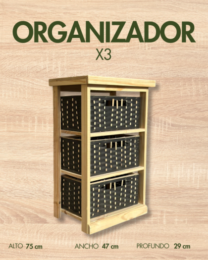 ORGANIZADORES