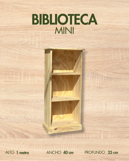MINI BIBLIOTECAS