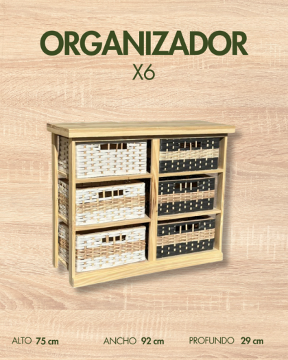 ORGANIZADORES
