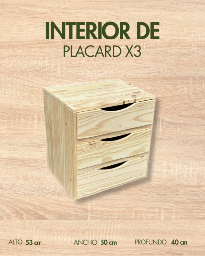 INTERIORES DE PLACARD