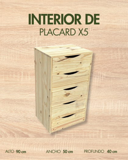INTERIORES DE PLACARD